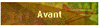 Avant